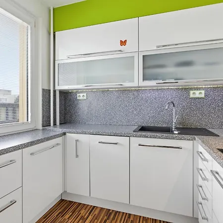 Apartmán In A Quiet Part Of With A Kitchen